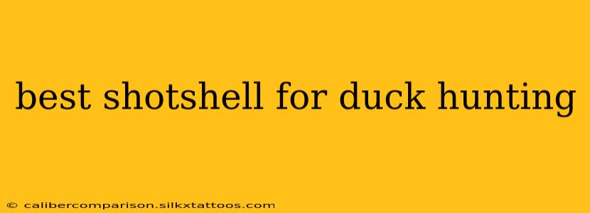 best shotshell for duck hunting