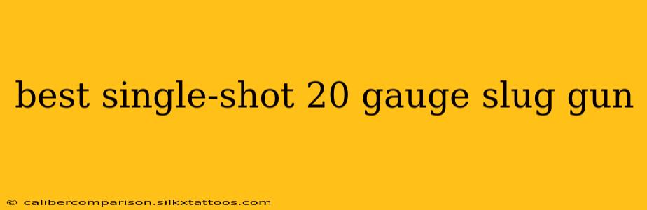 best single-shot 20 gauge slug gun