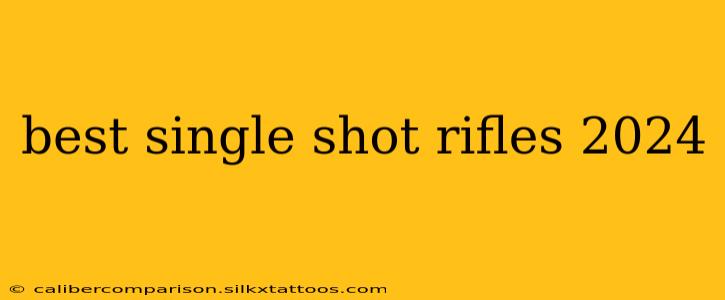 best single shot rifles 2024