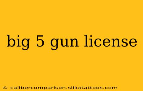 big 5 gun license