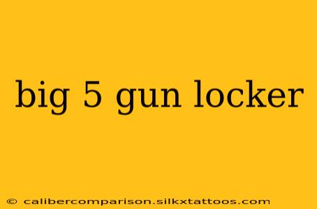 big 5 gun locker