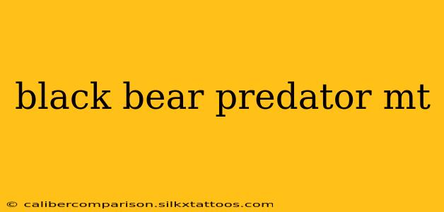 black bear predator mt