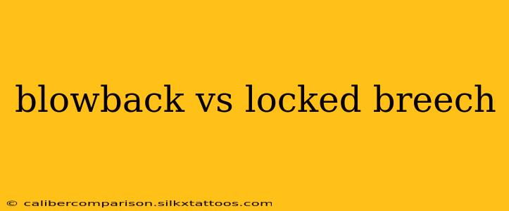 blowback vs locked breech