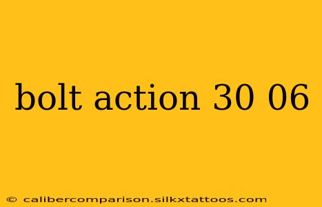 bolt action 30 06