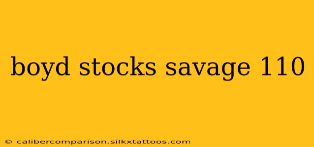 boyd stocks savage 110