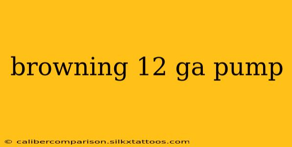 browning 12 ga pump