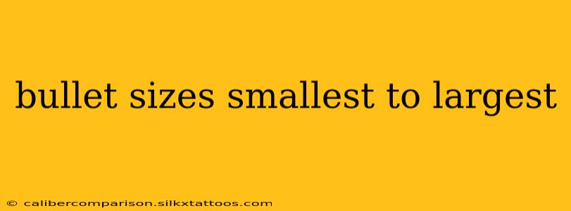 bullet sizes smallest to largest