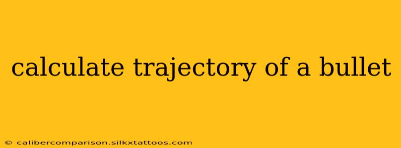 calculate trajectory of a bullet