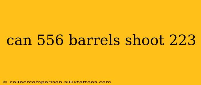 can 556 barrels shoot 223