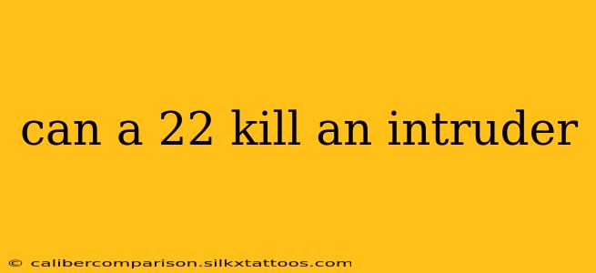 can a 22 kill an intruder