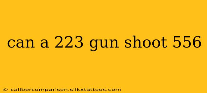 can a 223 gun shoot 556