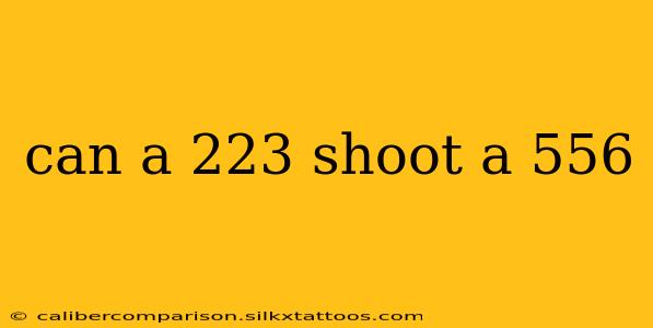 can a 223 shoot a 556