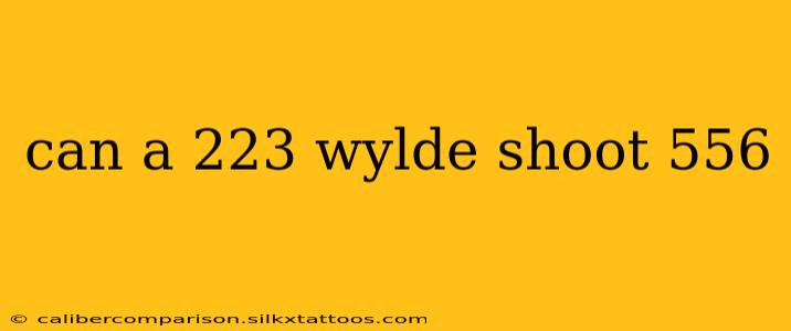 can a 223 wylde shoot 556