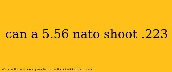 can a 5.56 nato shoot .223