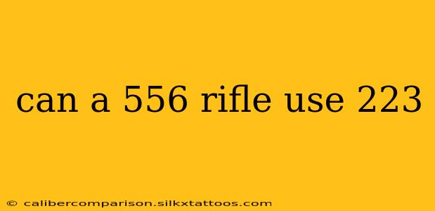 can a 556 rifle use 223