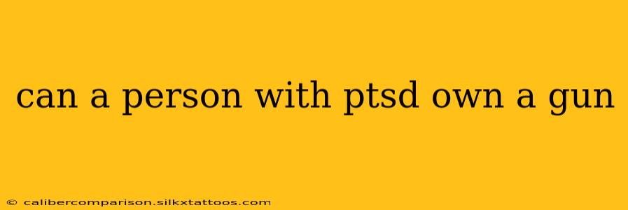 can a person with ptsd own a gun