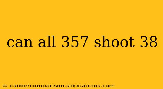 can all 357 shoot 38