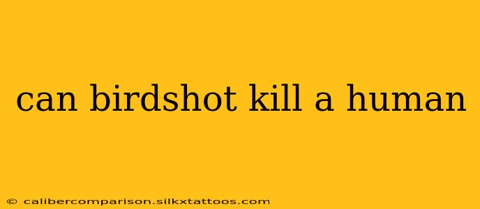 can birdshot kill a human