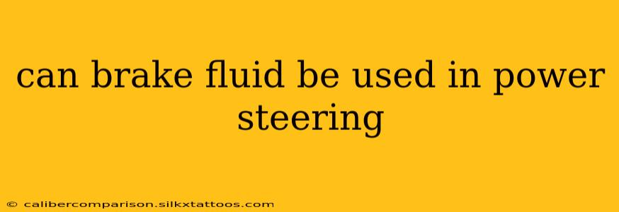 can brake fluid be used in power steering