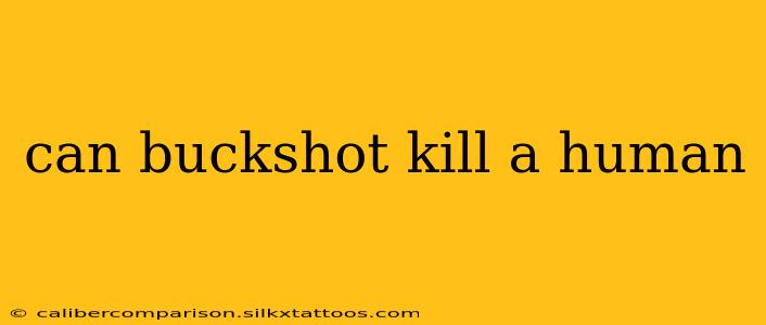 can buckshot kill a human