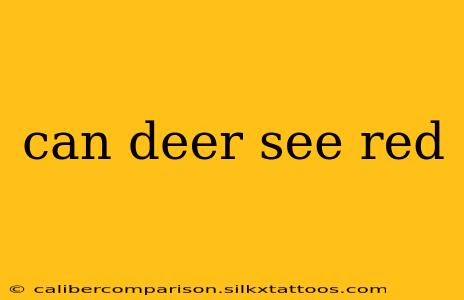 can deer see red