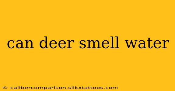 can deer smell water