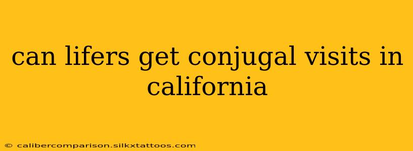 can lifers get conjugal visits in california