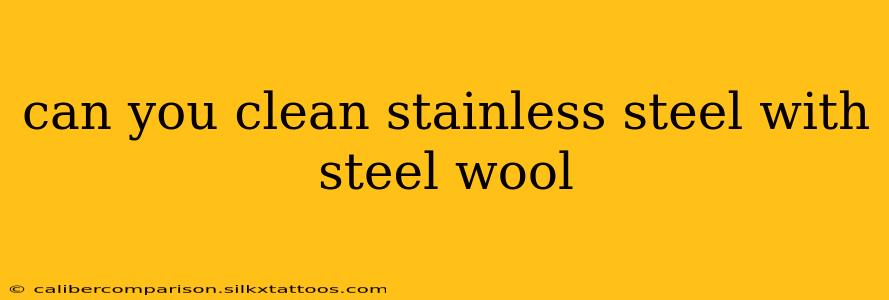 can you clean stainless steel with steel wool