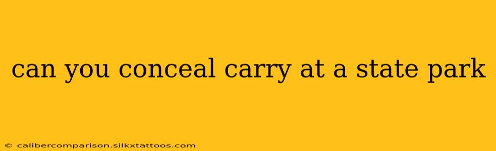 can you conceal carry at a state park