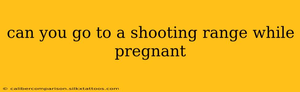 can you go to a shooting range while pregnant