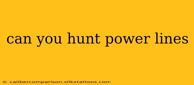 can you hunt power lines