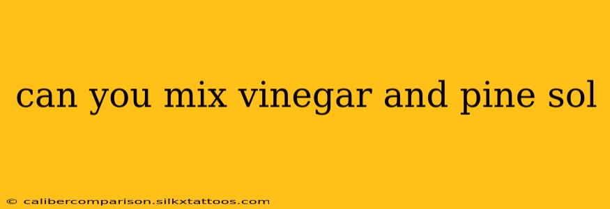 can you mix vinegar and pine sol