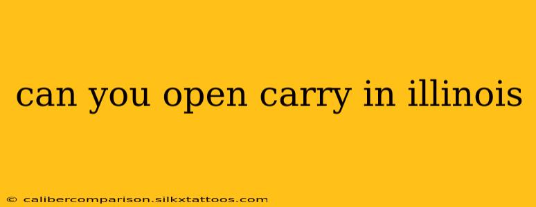 can you open carry in illinois