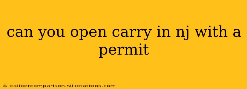 can you open carry in nj with a permit