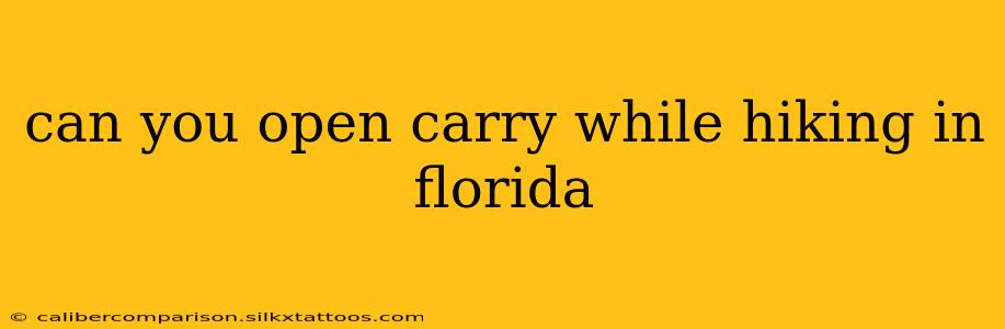 can you open carry while hiking in florida