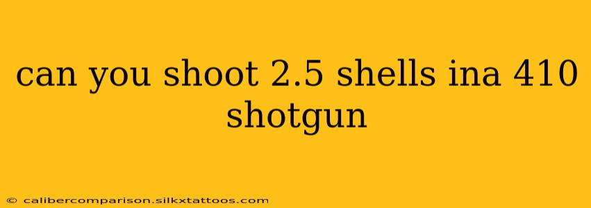 can you shoot 2.5 shells ina 410 shotgun