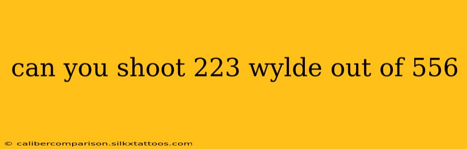 can you shoot 223 wylde out of 556