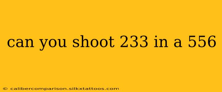 can you shoot 233 in a 556