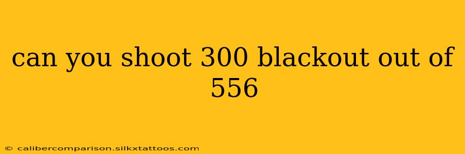 can you shoot 300 blackout out of 556