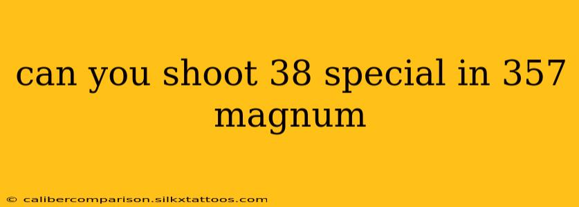 can you shoot 38 special in 357 magnum