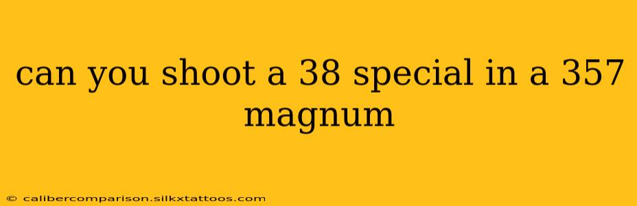 can you shoot a 38 special in a 357 magnum