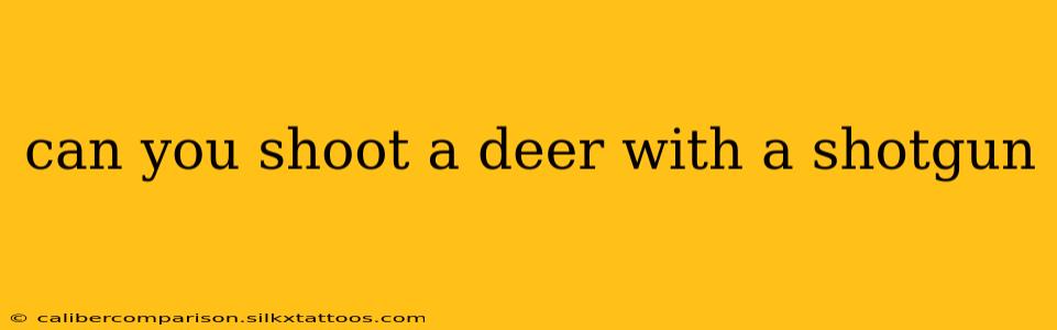 can you shoot a deer with a shotgun