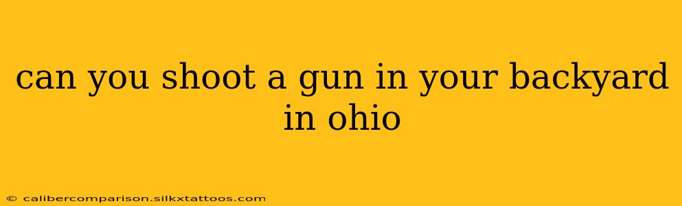 can you shoot a gun in your backyard in ohio