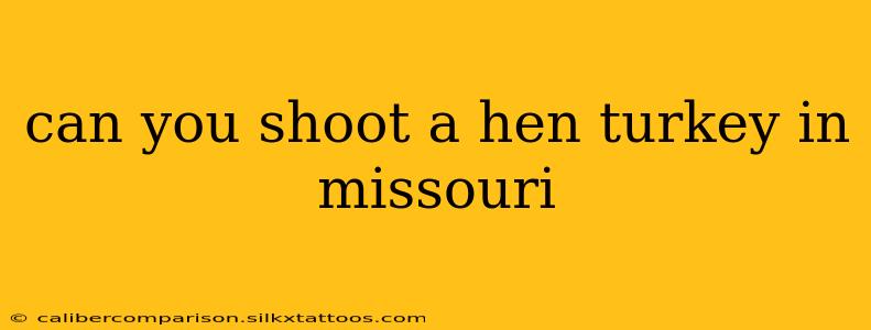 can you shoot a hen turkey in missouri