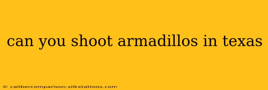 can you shoot armadillos in texas