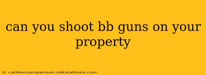 can you shoot bb guns on your property