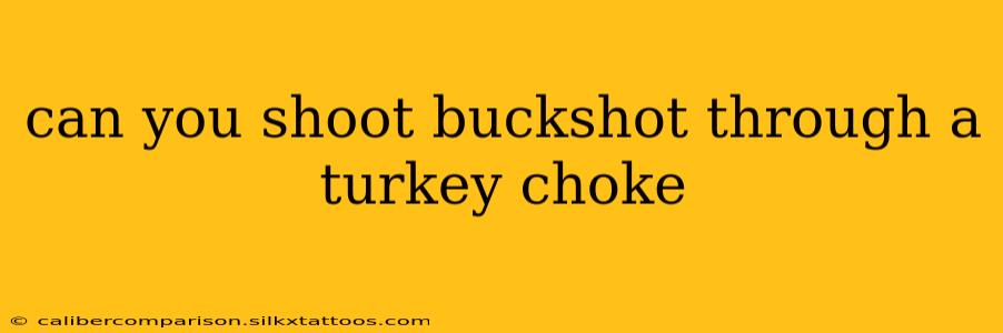 can you shoot buckshot through a turkey choke