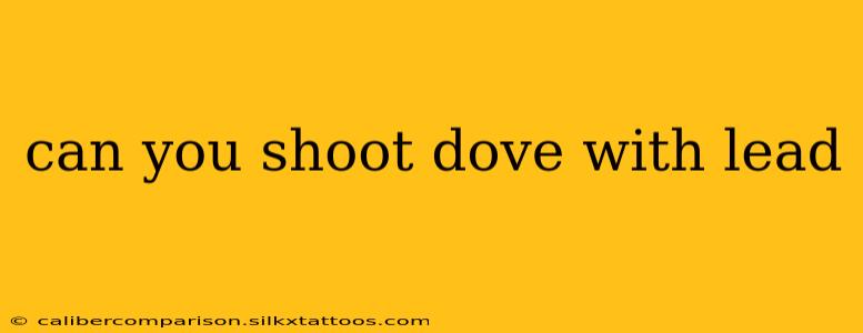 can you shoot dove with lead