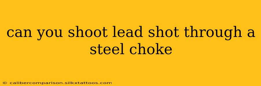 can you shoot lead shot through a steel choke