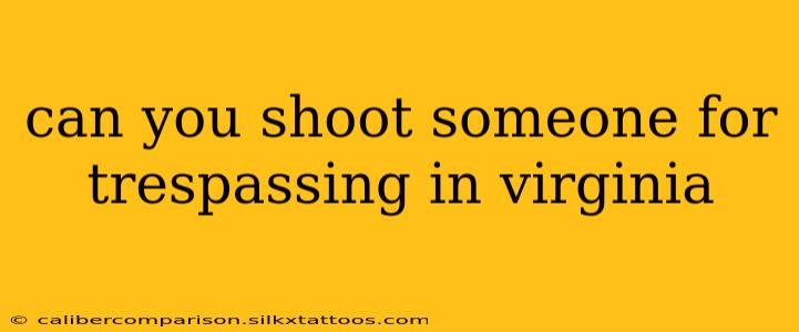 can you shoot someone for trespassing in virginia